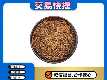 乌鲁木齐礼品回收虫草.jpg